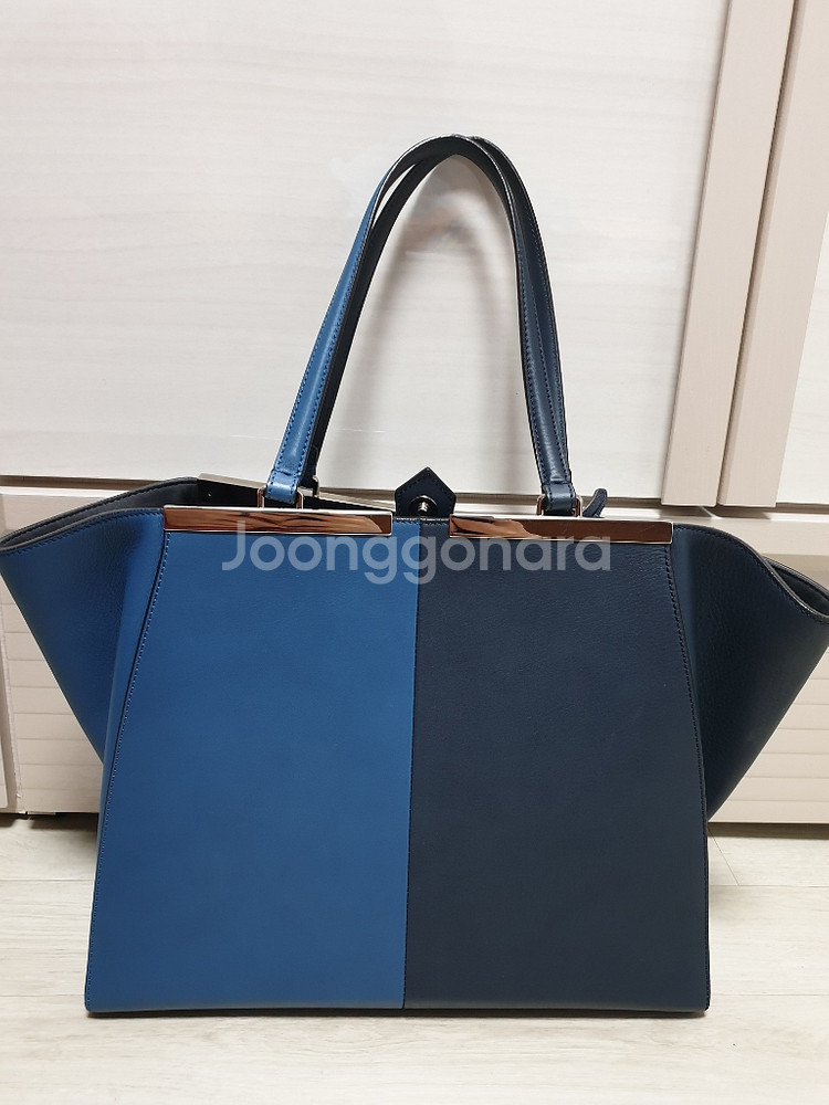 펜디 투톤 투와쥬르백--0