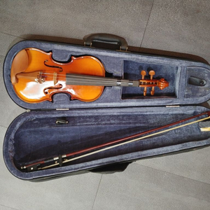교육용 아동용 바이올린