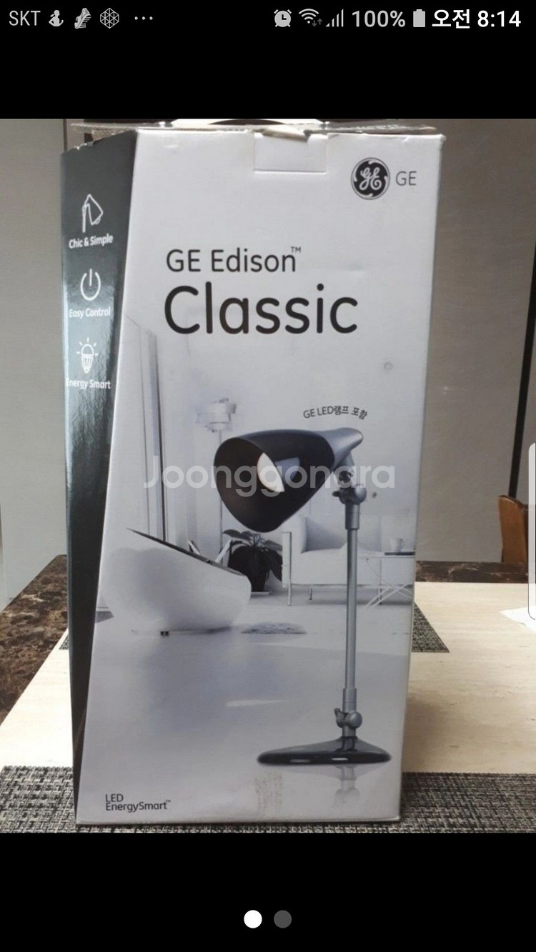 GE Edison 스탠드 등기구--0