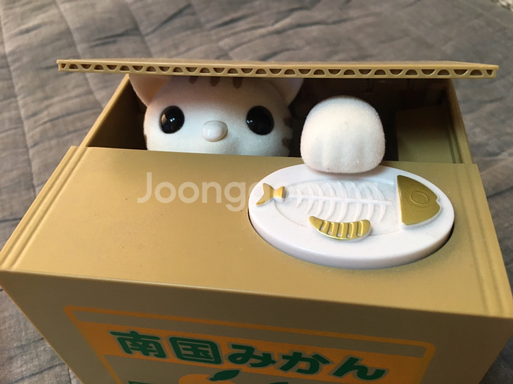 고양이 저금통--0