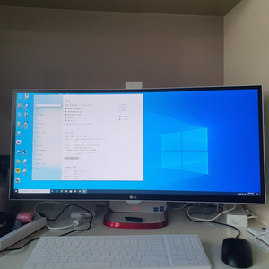 LG올인원 PC 29V950(윈도우10)