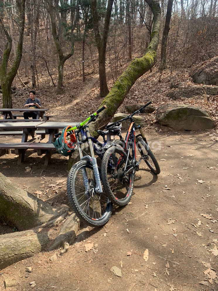 다운힐 mtb--5