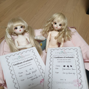 리나슈슈 미우 데이지 물품등등