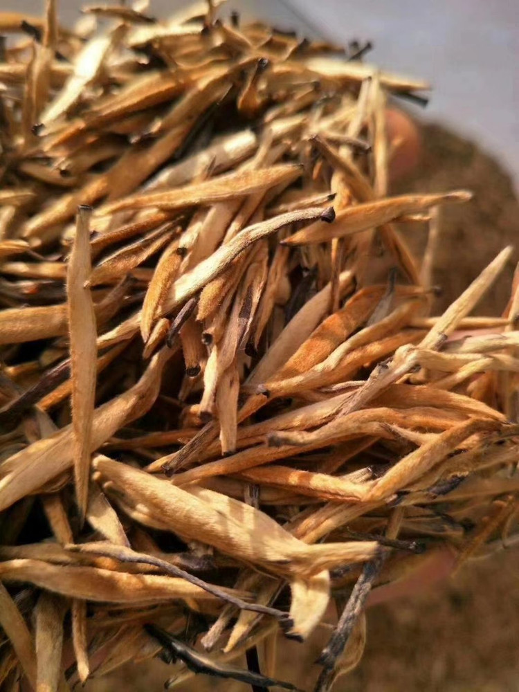 홍차/전홍금침--2