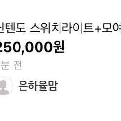 닌텐도 스위치 라이트 사기 (은하율맘) 이름계속업뎃중