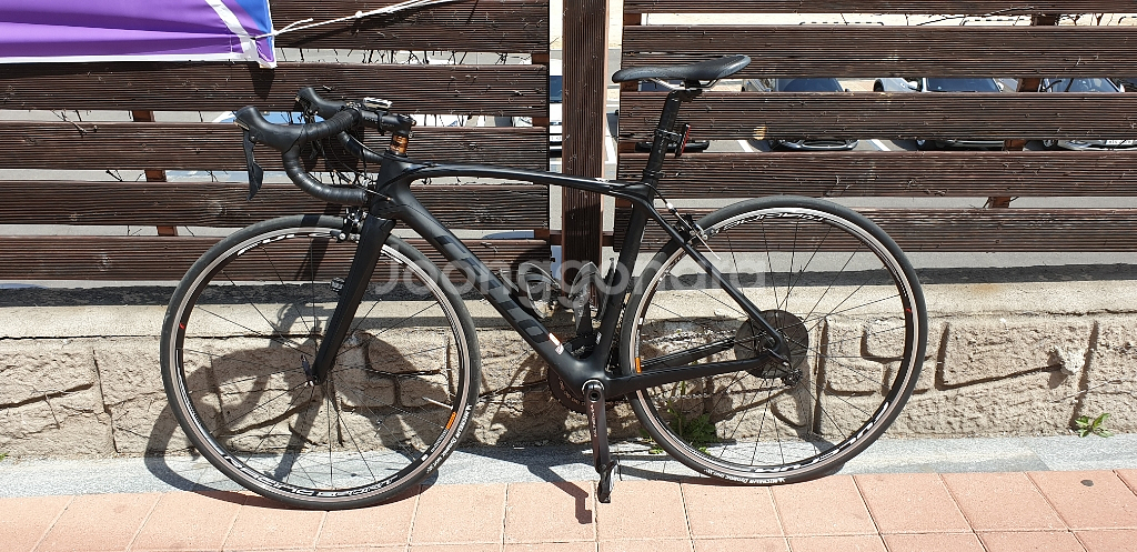 첼로 케인 울테그라 490 분양합니다--0