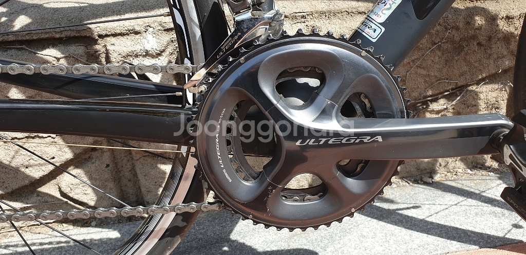 첼로 케인 울테그라 490 분양합니다--3