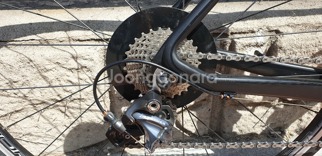 첼로 케인 울테그라 490 분양합니다--4