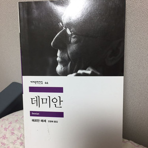 데미안 책