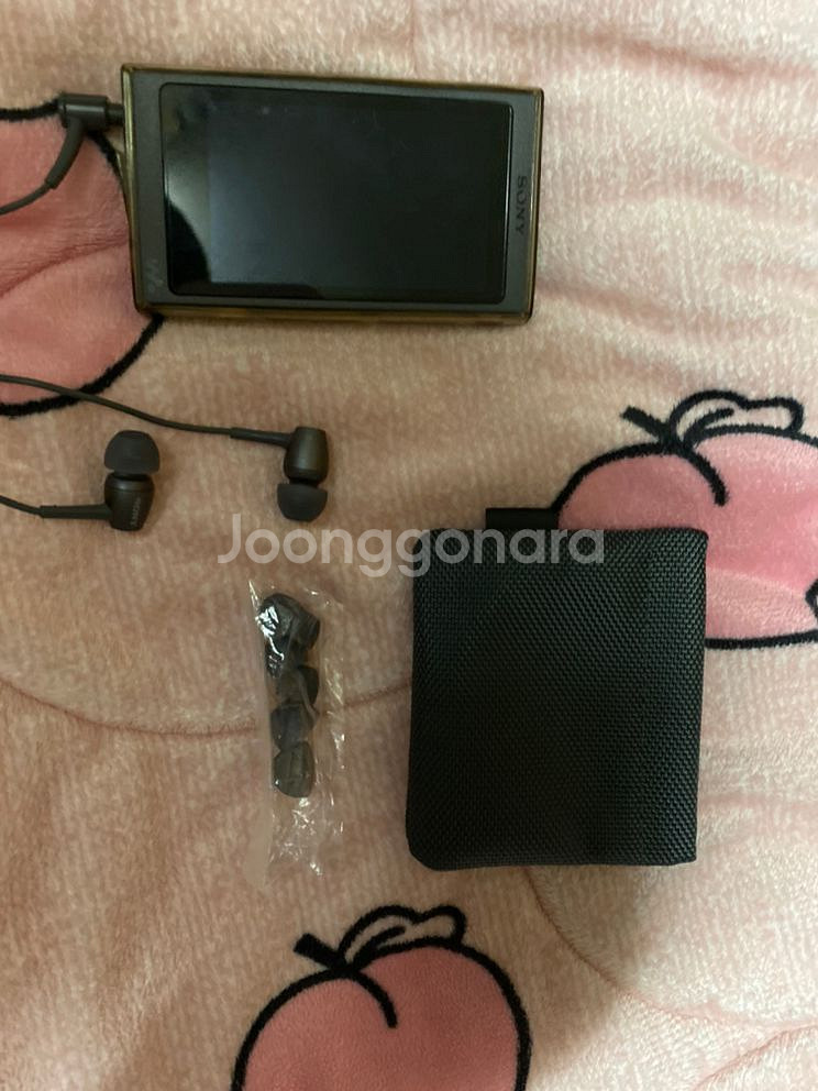 소니 hear in 2 IER-H500A--4