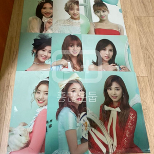 트와이스 엘홀더