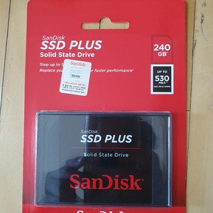 산디스크 SSD 240GB 와 델로라 SSD 240GB