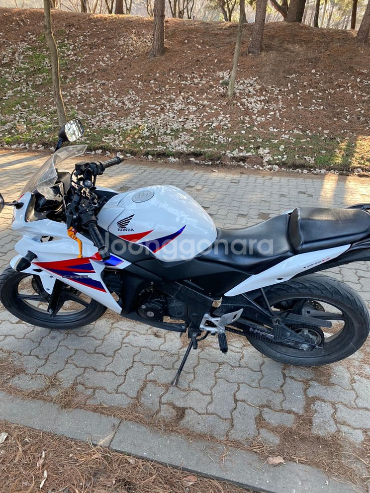 cbr125 건담--2