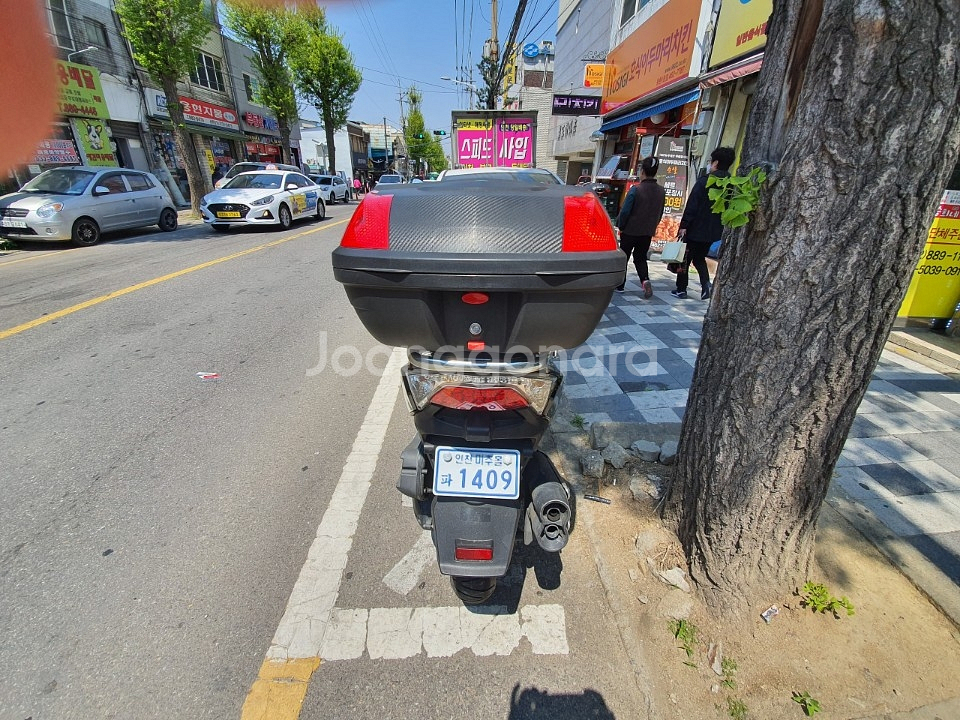 대림q2--2