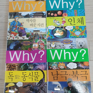 책,만화책 싸게 팔아요!(Why,성경만화,초등책 등등)