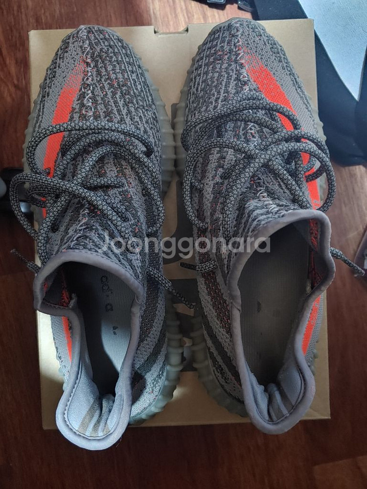 이지부스트 350V2 벨루가--0
