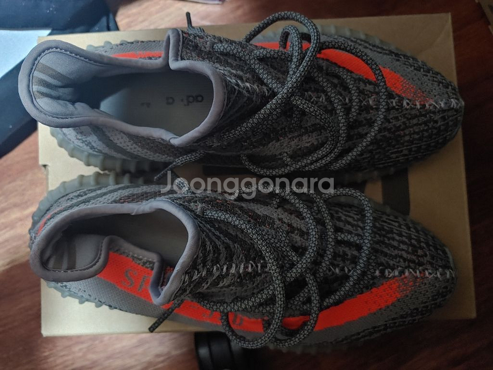 이지부스트 350V2 벨루가--1