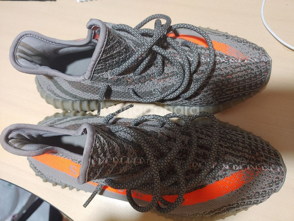 이지부스트 350V2 벨루가--3
