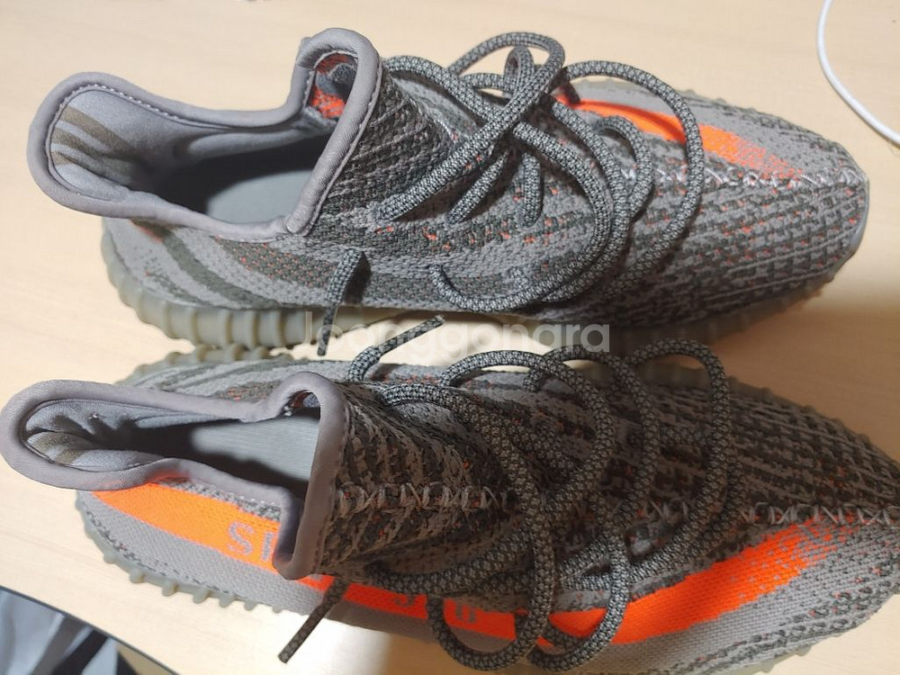 이지부스트 350V2 벨루가--5