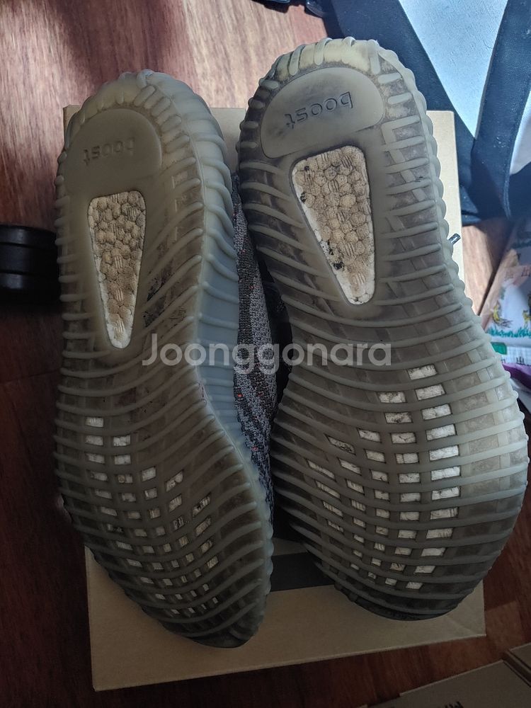 이지부스트 350V2 벨루가--6