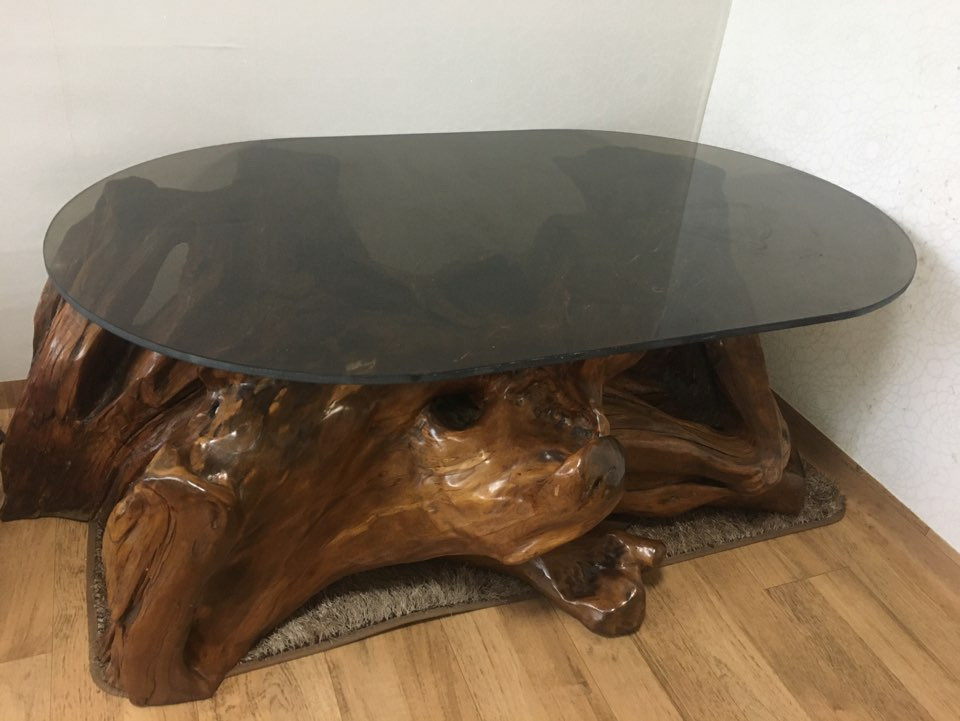 주목나무 뿌리테이블--4