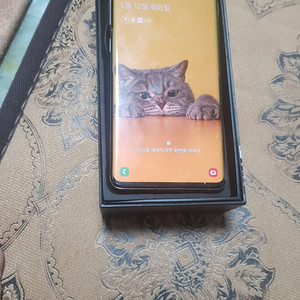 겔럭시S10플러스