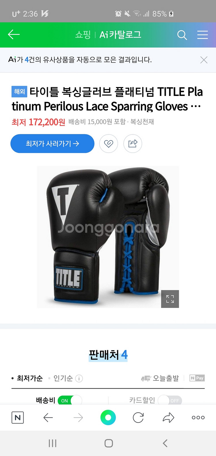 타이틀 플레티넘 복싱 글러브--1
