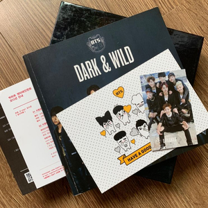 방탄소년단 1집 dark&wild