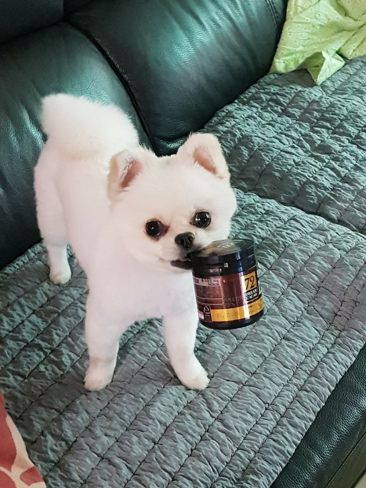 프로필 이미지
