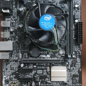 intel 팬티엄 g4600 + asus h110m-k