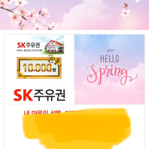 sk주유권1만원권