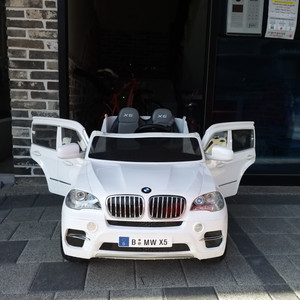 BMW X5 파파야 2인승 전동차