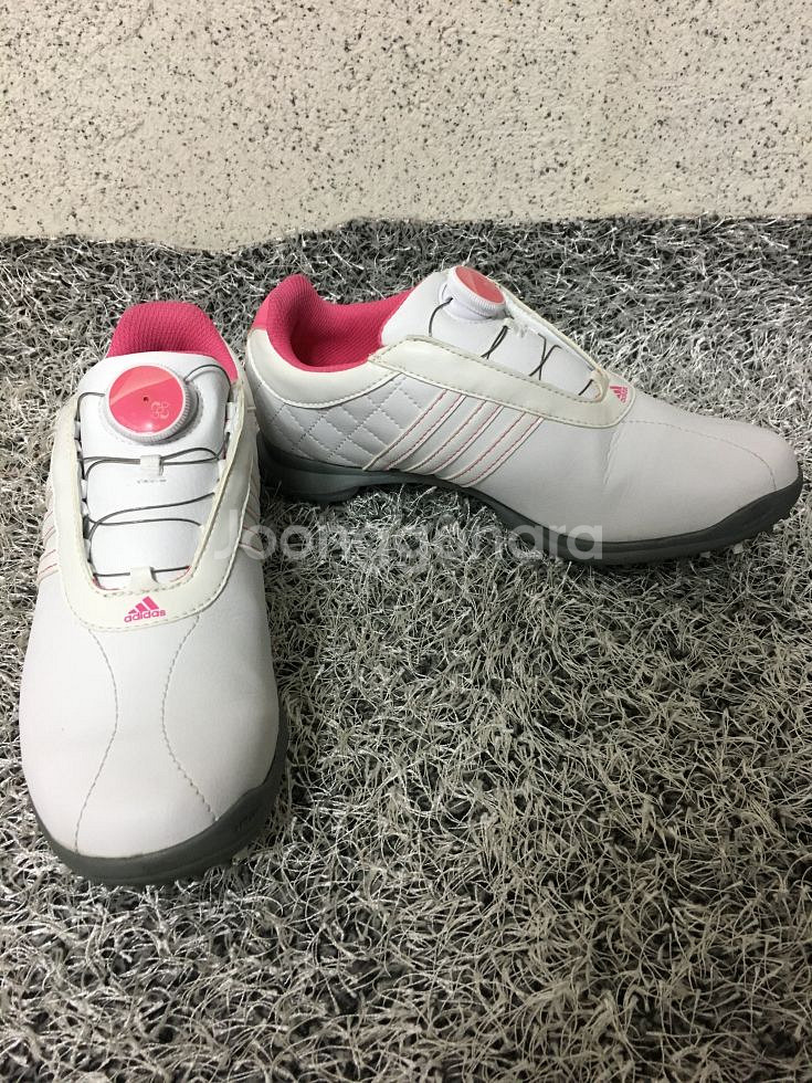 230 아디다스 골프슈즈 드라이버 보아--1
