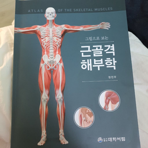 그림으로보는 근골격해부학