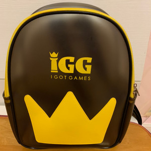 IGG 지스타 가방