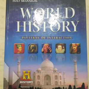 world history - holt mcdougal