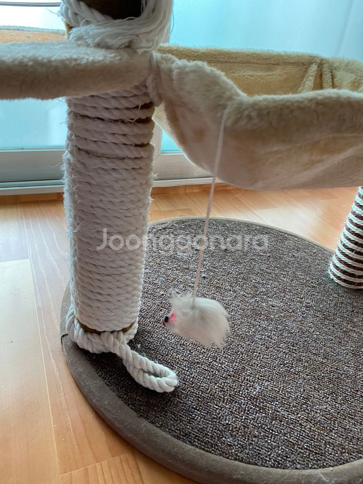 고양이 2단캣타워+패브릭 하우스 팔아요--2
