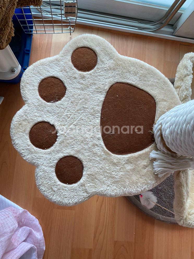 고양이 2단캣타워+패브릭 하우스 팔아요--3