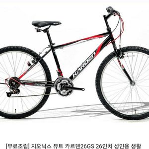 지오닉스 뮤트 카르덴 26GS 26인치 성인용 MTB