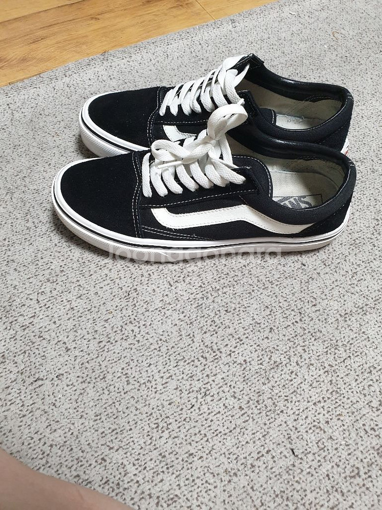 반스올드스쿨 라이트 255--0