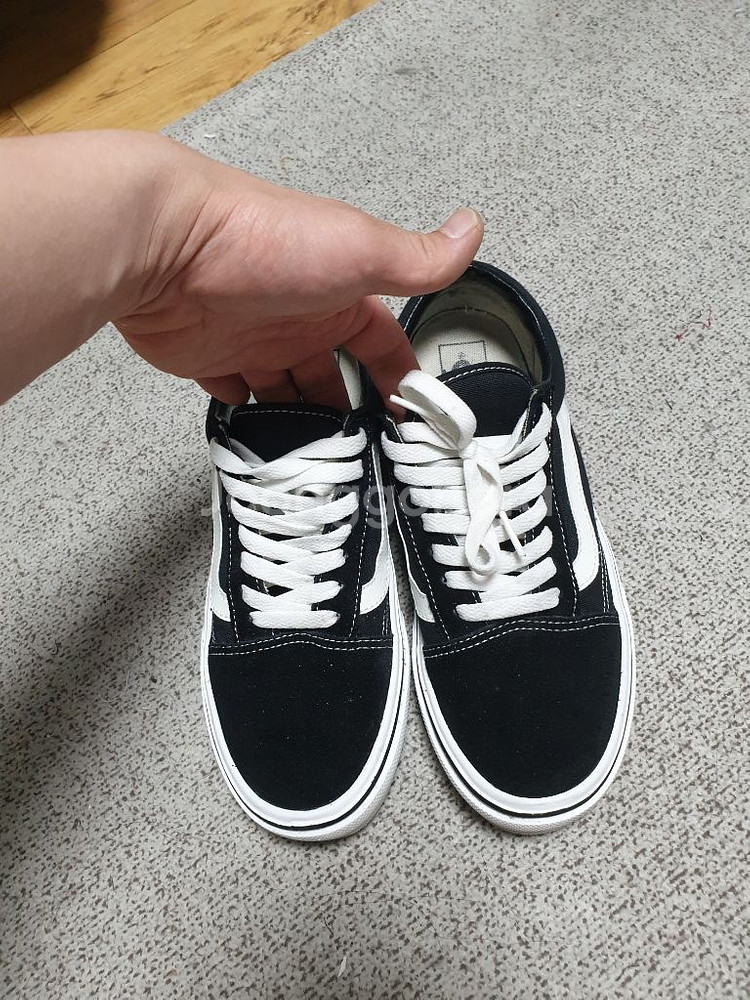 반스올드스쿨 라이트 255--1