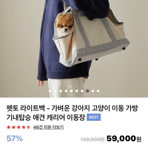 강아지 고양이 이동가방