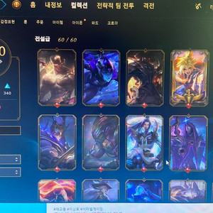 롤 거의 풀스킨