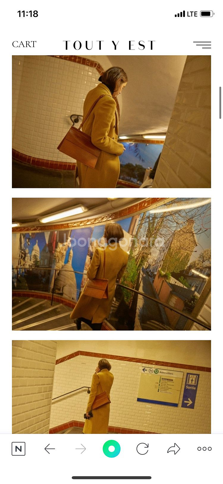투티에 트라이앵글백 리자드--1