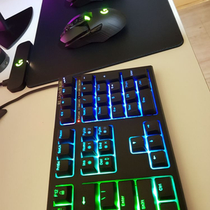 리얼포스 (rgb) Realforce