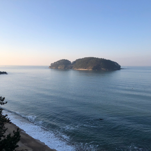 스벅 풀리프티 및 할리스 아메