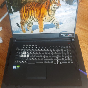 asus rog strix g731gv-ev004팝니다
