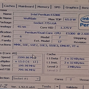 e5300,삼성보드,300기가, ddr3 2g 팝니다