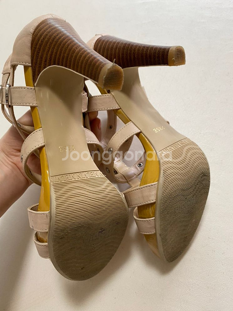 탠디 샌들 탠디 Mclvin 글레디에이터샌들 235--3