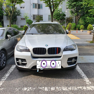 BMW X6(1세대) 30d xDrive